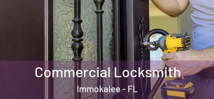  Commercial Locksmith Immokalee - FL