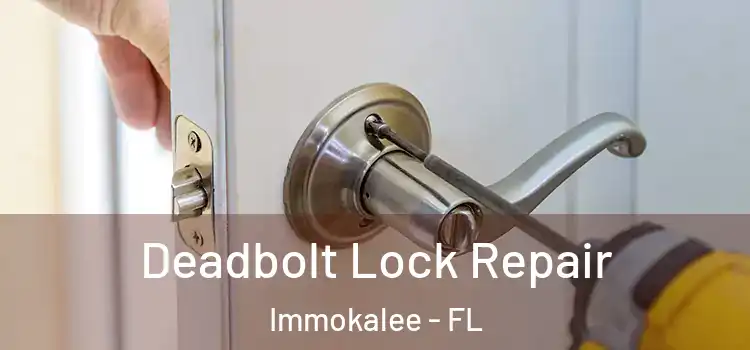  Deadbolt Lock Repair Immokalee - FL
