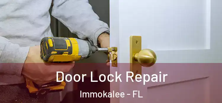 Door Lock Repair Immokalee - FL