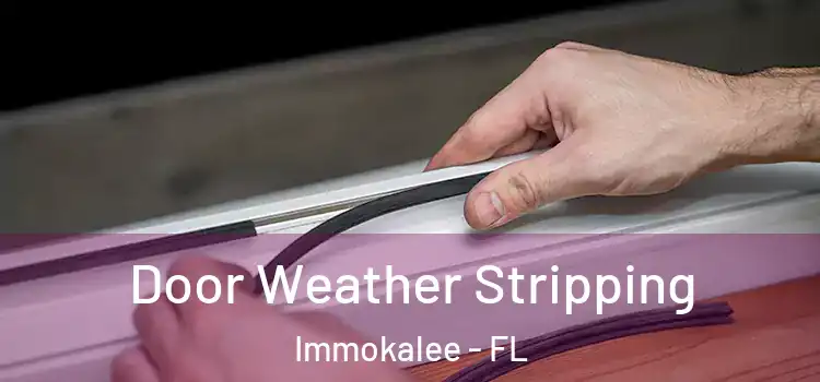  Door Weather Stripping Immokalee - FL