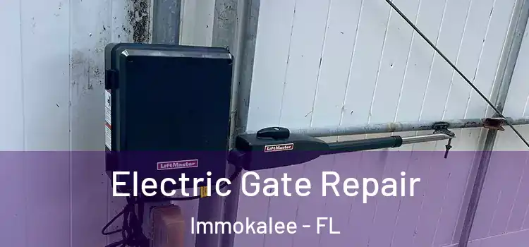 Electric Gate Repair Immokalee - FL