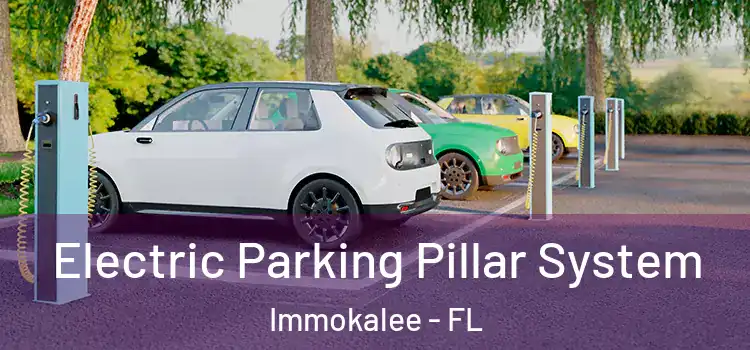 Electric Parking Pillar System Immokalee - FL