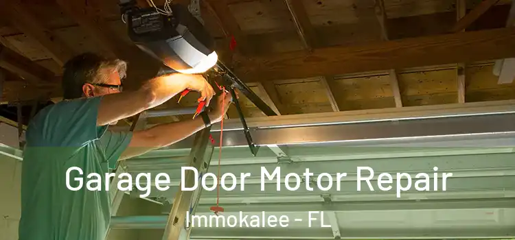  Garage Door Motor Repair Immokalee - FL