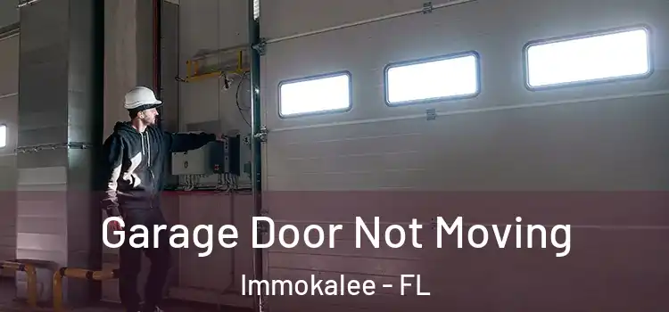  Garage Door Not Moving Immokalee - FL