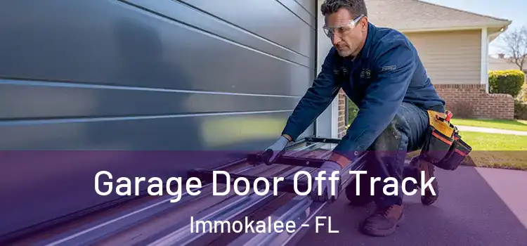  Garage Door Off Track Immokalee - FL