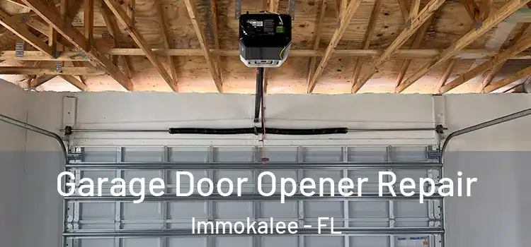  Garage Door Opener Repair Immokalee - FL