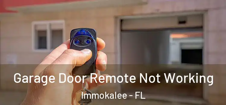  Garage Door Remote Not Working Immokalee - FL
