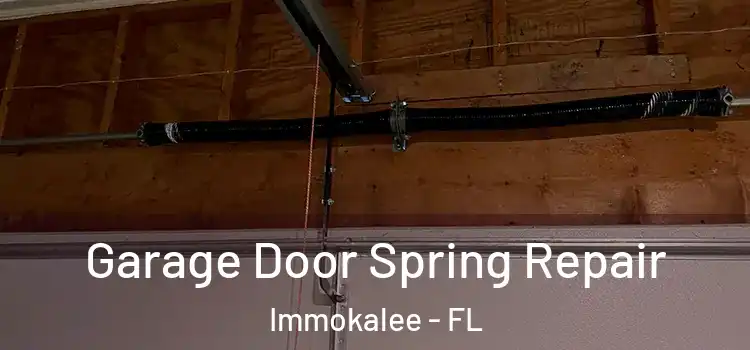  Garage Door Spring Repair Immokalee - FL