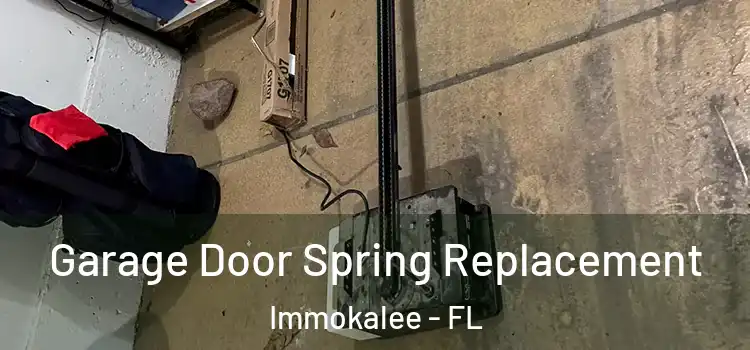  Garage Door Spring Replacement Immokalee - FL