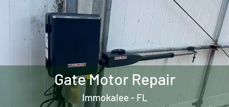  Gate Motor Repair Immokalee - FL