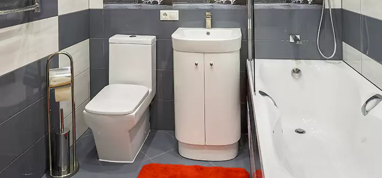Hansgrohe Shaving Mirror Immokalee