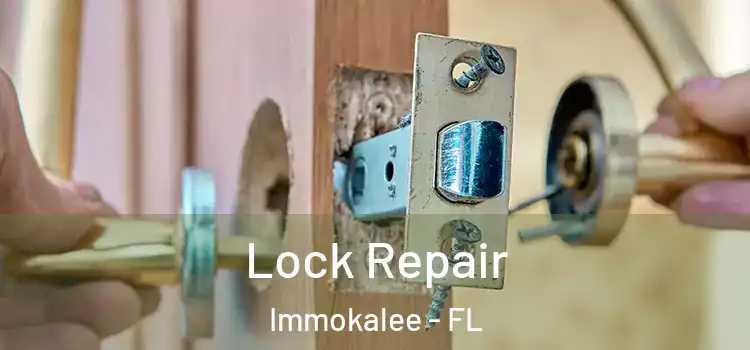  Lock Repair Immokalee - FL