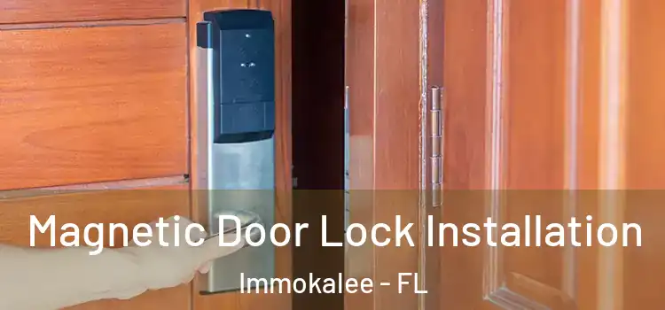  Magnetic Door Lock Installation Immokalee - FL