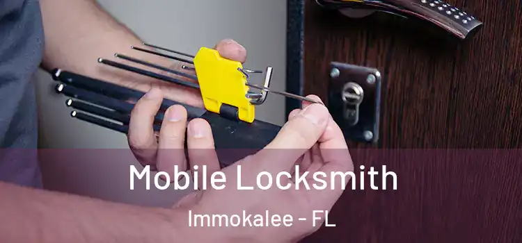 Mobile Locksmith Immokalee - FL