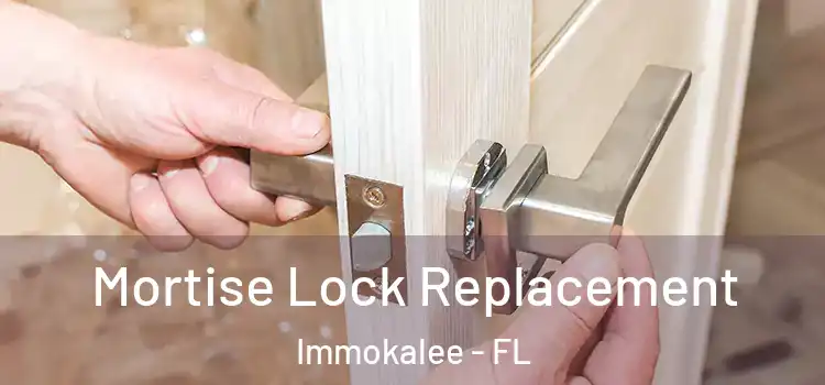  Mortise Lock Replacement Immokalee - FL