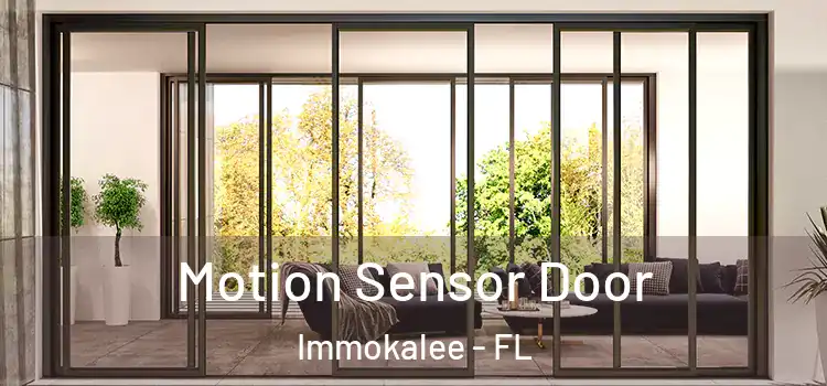 Motion Sensor Door Immokalee - FL