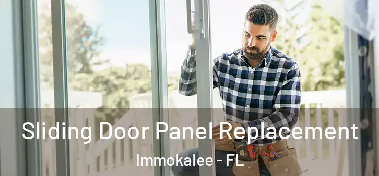  Sliding Door Panel Replacement Immokalee - FL