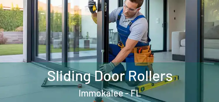 Sliding Door Rollers Immokalee - FL