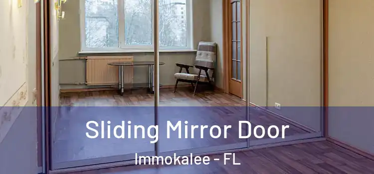  Sliding Mirror Door Immokalee - FL